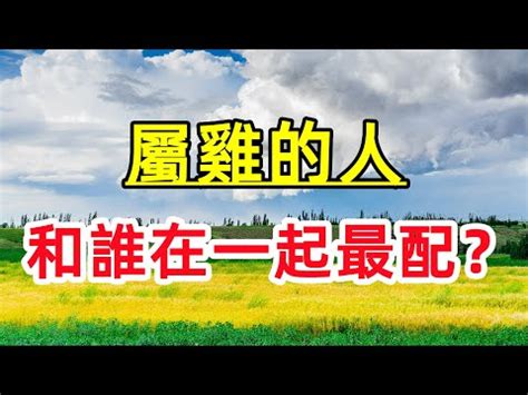 雞和猴合嗎|【猴和雞合嗎】馬上揭曉！猴和雞的生肖配對超驚奇！